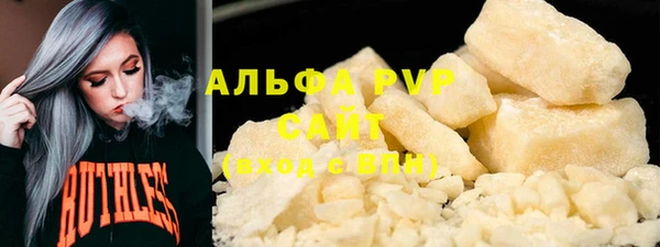 прущие грибы Абинск