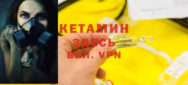 прущие грибы Абинск