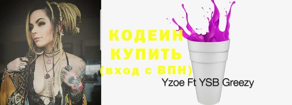 прущие грибы Абинск