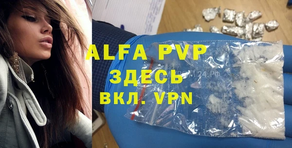 прущие грибы Абинск