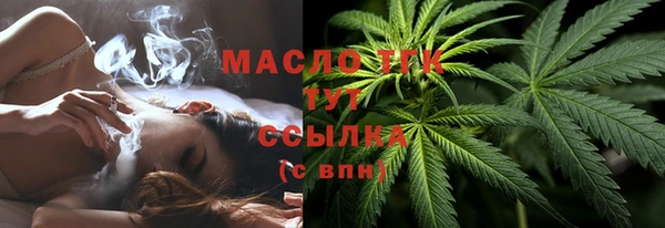прущие грибы Абинск