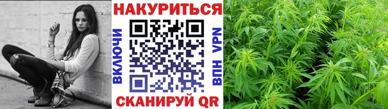 даркнет сайт  Болотное  mega онион  Канабис семена 